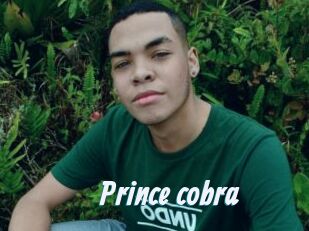 Prince_cobra