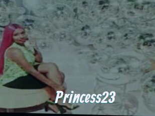 Princess23