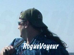 RogueVoyeur