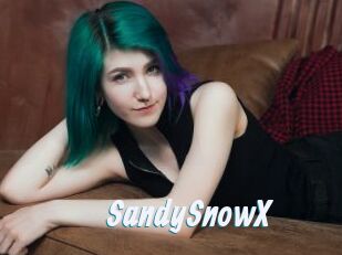 SandySnowX