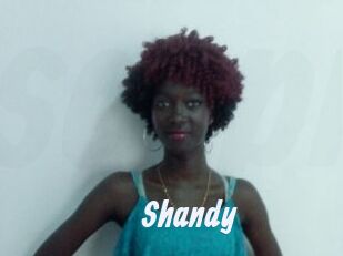 Shandy