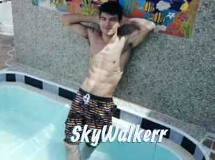 SkyWalkerr