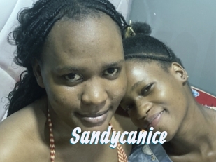 Sandycanice