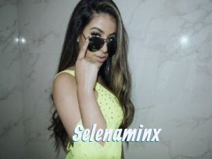 Selenaminx