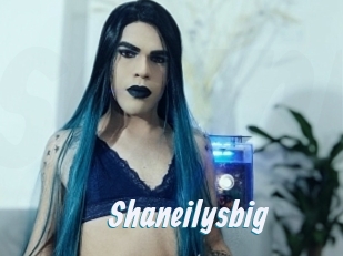 Shaneilysbig