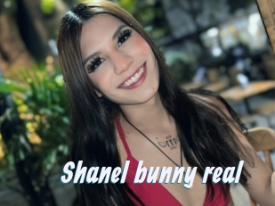 Shanel_bunny_real