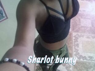 Sharlot_bunny