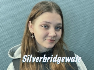 Silverbridgewate