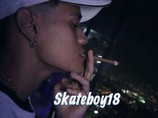 Skateboy18