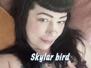 Skylar_bird