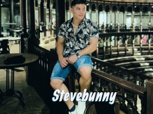 Stevebunny