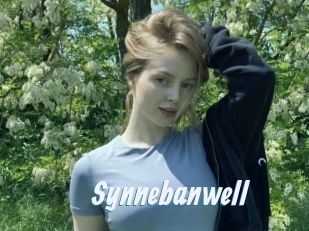 Synnebanwell