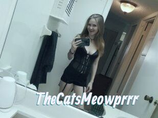 TheCatsMeowprrr