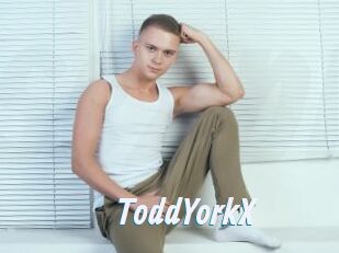 ToddYorkX