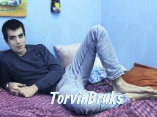 TorvinBruks