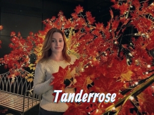 Tanderrose