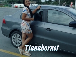 Tianabornet