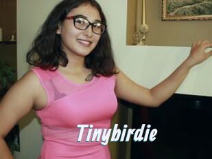 Tinybirdie