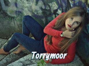 Torrymoor