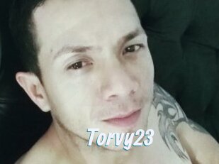 Torvy23