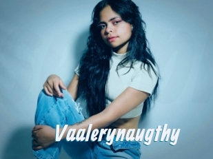 Vaalerynaugthy