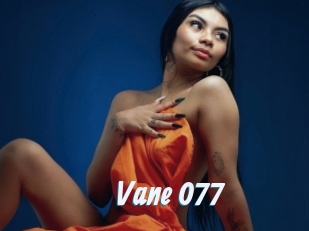 Vane_077