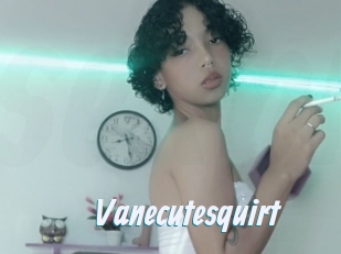 Vanecutesquirt