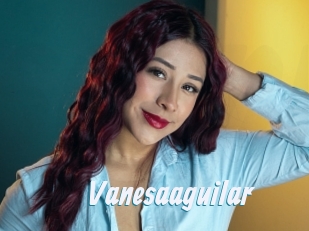 Vanesaaguilar