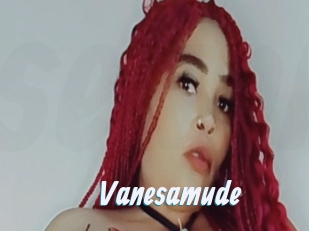 Vanesamude