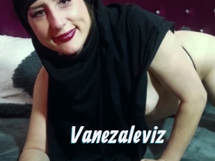 Vanezaleviz