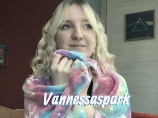 Vannessaspark