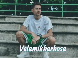 Velamikbarbosa