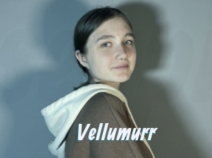 Vellumurr