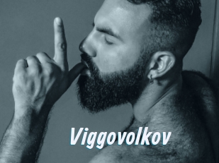 Viggovolkov