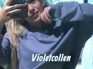 Violetcollen