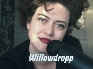 Willowdropp