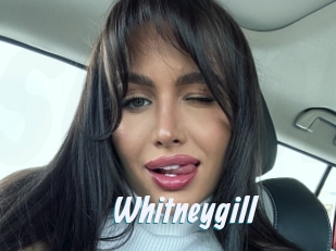 Whitneygill