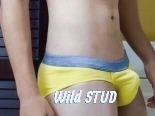 Wild_STUD