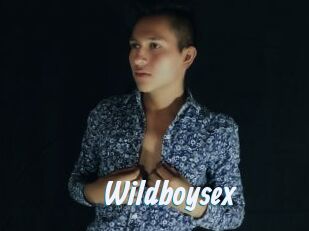 Wildboysex