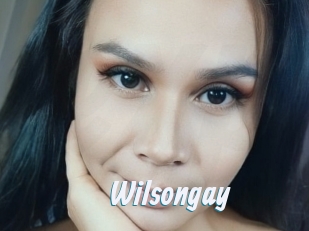 Wilsongay