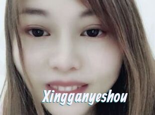 Xingganyeshou