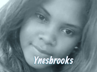 Ynesbrooks