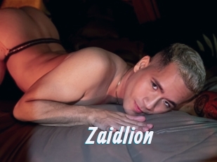 Zaidlion