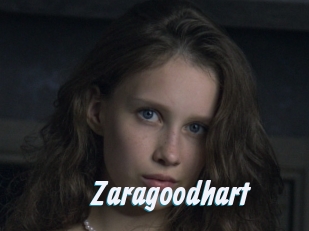 Zaragoodhart