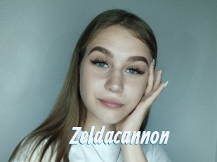 Zeldacannon