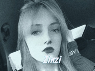 Zinzi